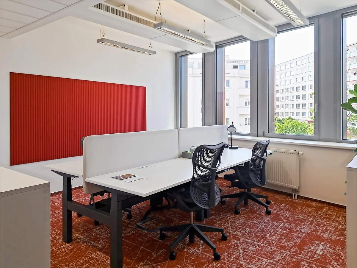 Private office with shared desks and ergonomic chairs